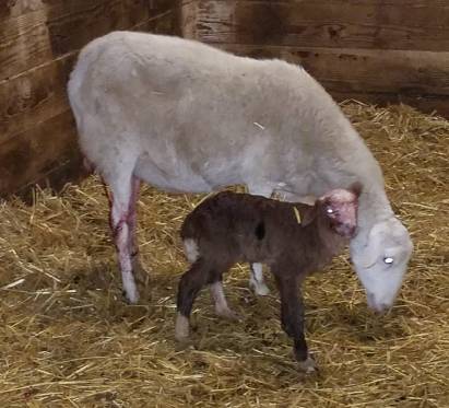 50081049_1949661148415929_7631630369246150656_o