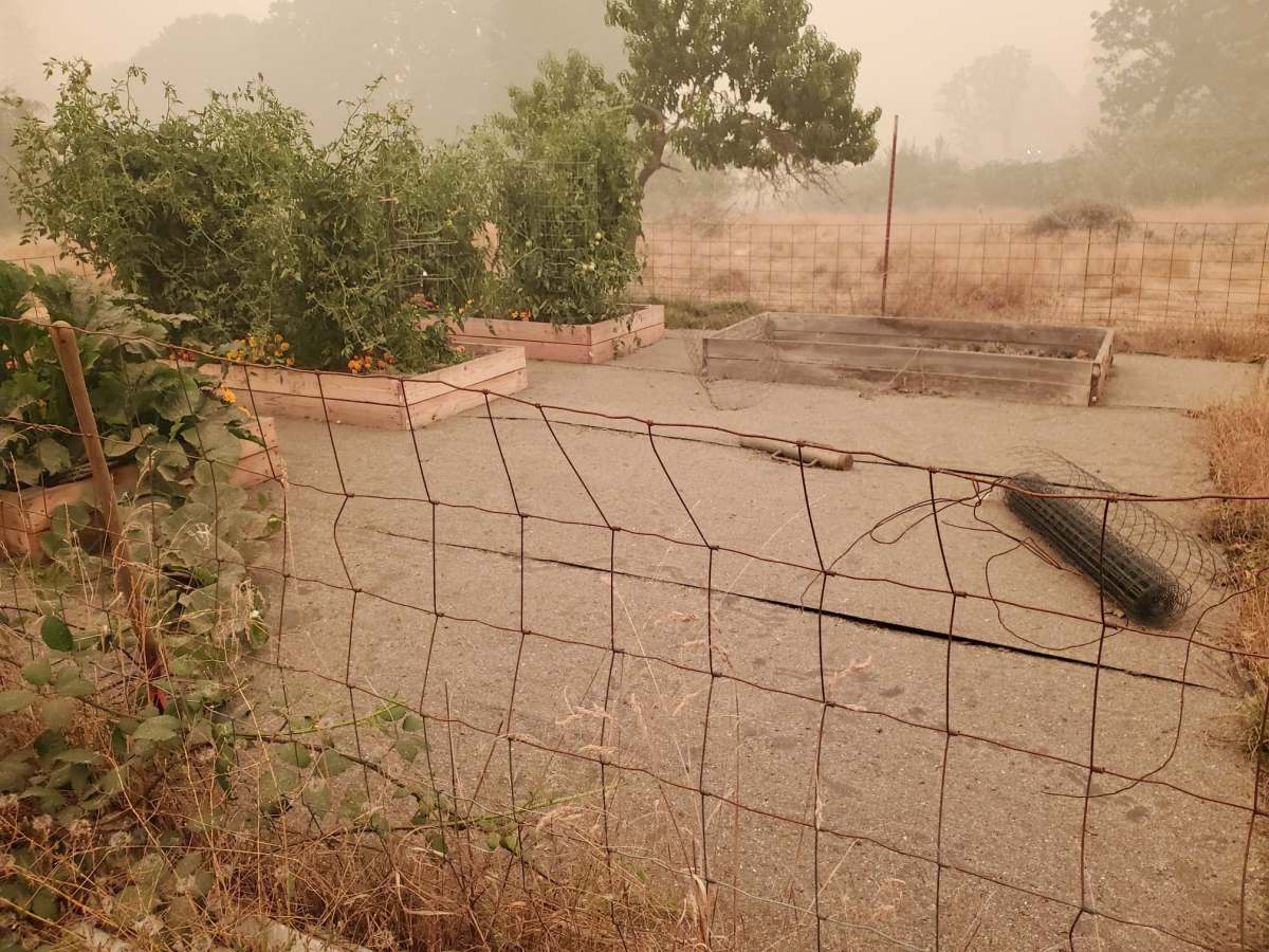 We Survived the&nbsp;Fires