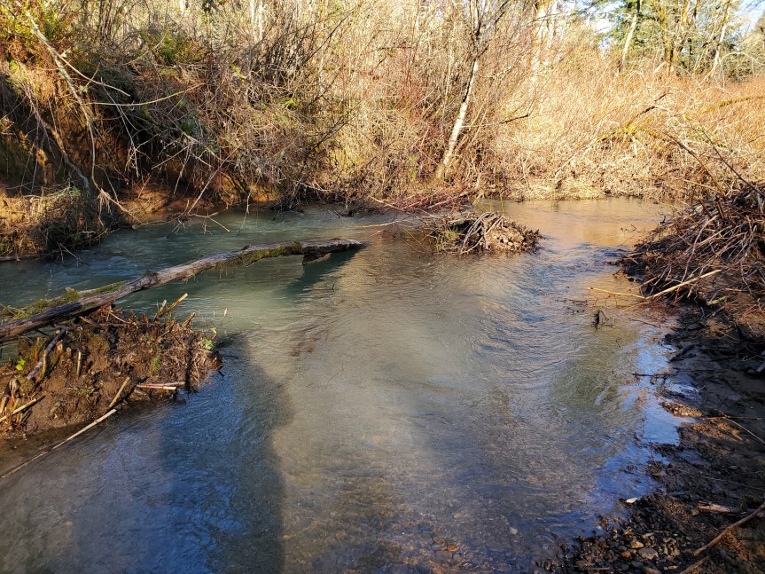 What In The Actual Hell Is Going&nbsp;On!