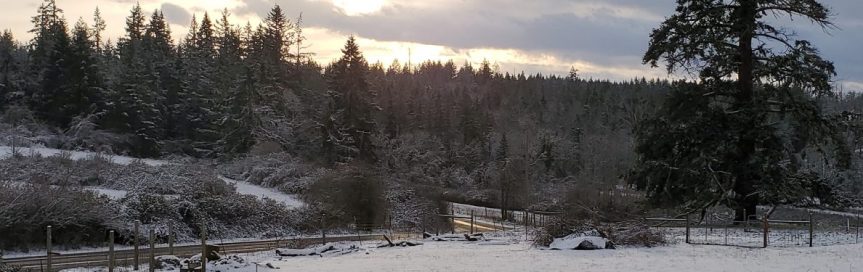 Homestead Happenings, Winter Solstice&nbsp;Edition