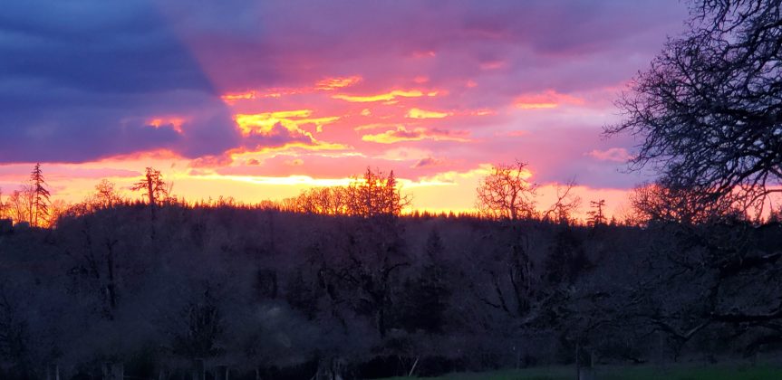 Winter is Coming…Wait, What?