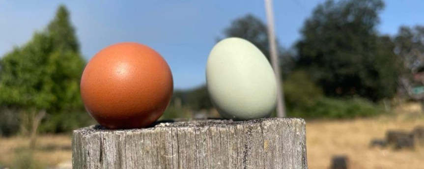 Thank Goodness That’s Over….But&nbsp;Wait…