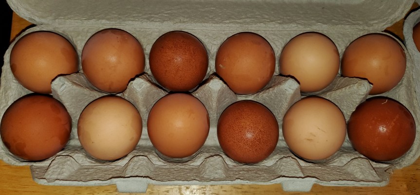 October has Arrived….sorta