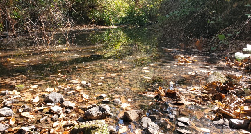 Warm Autumn Days, Cool Autumn&nbsp;Nights