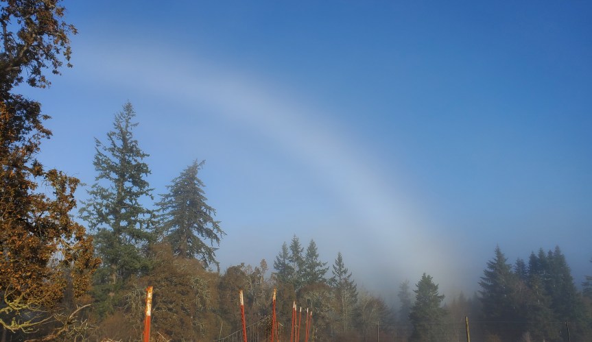 Homestead Happenings 11/23/22