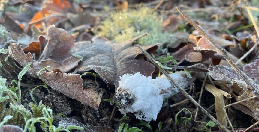 Homestead Happenings 12/23/22