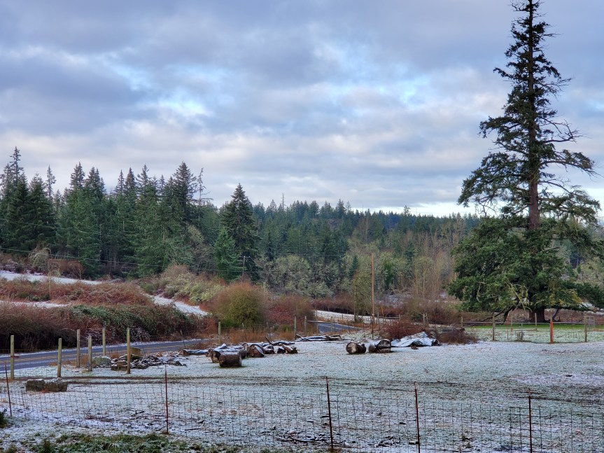 Naughty Hens, Wood-shop, and Snow – Whadya&nbsp;Know!