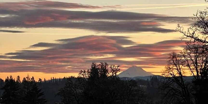 Homestead Happenings 2/13/23