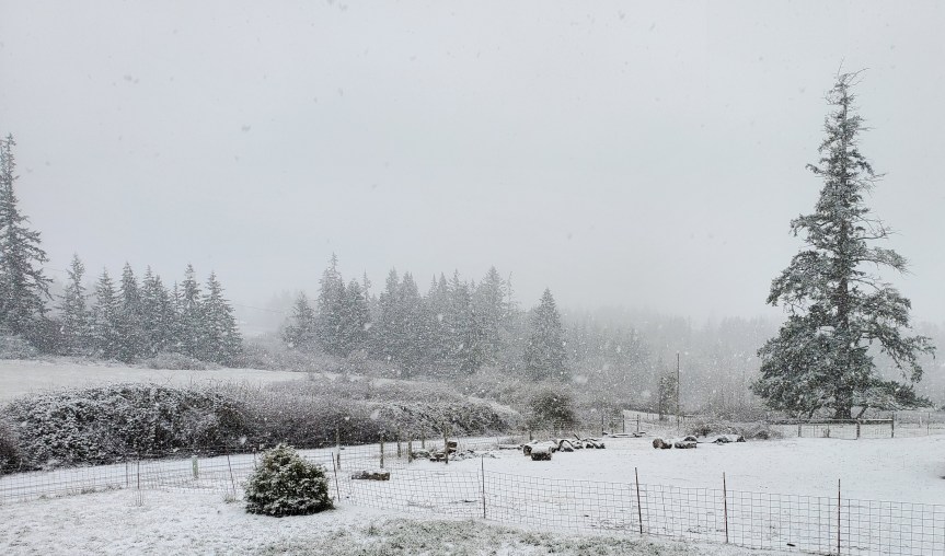 Crazy Weather, Thomas the Cat, and a&nbsp;Farmkid…