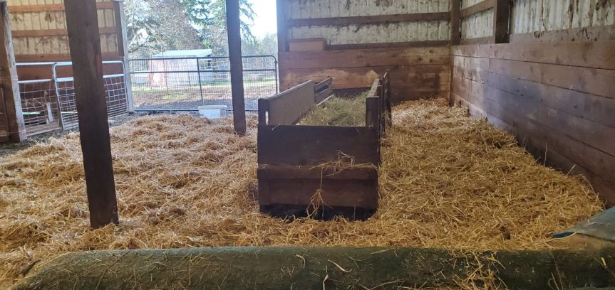 Homestead Happenings December 2025: Crazy Weather, & Prepping for&nbsp;Lambs!