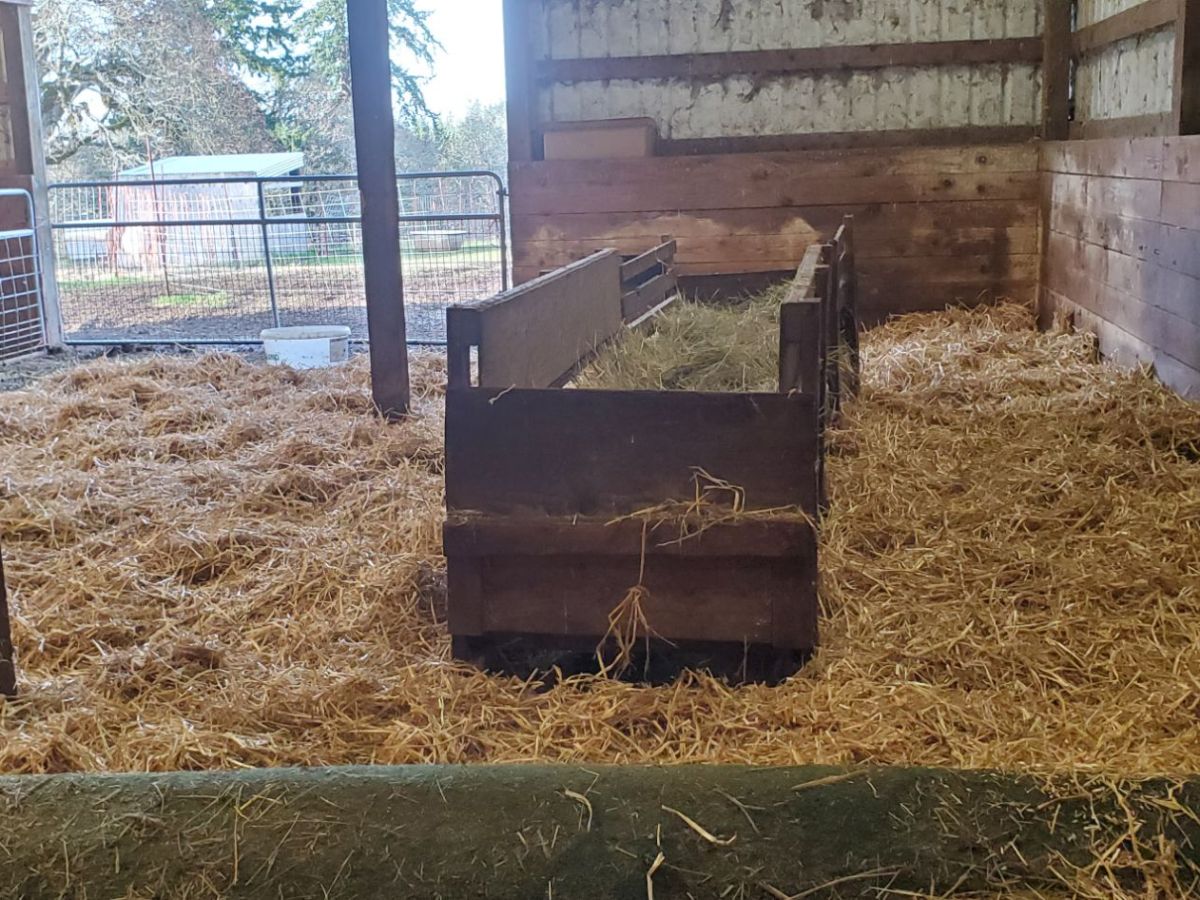 Homestead Happenings December 2025: Crazy Weather, & Prepping for&nbsp;Lambs!