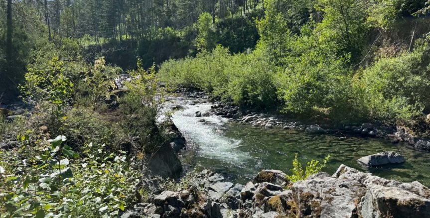 Scenic view of the Molalla River surrounded by green trees